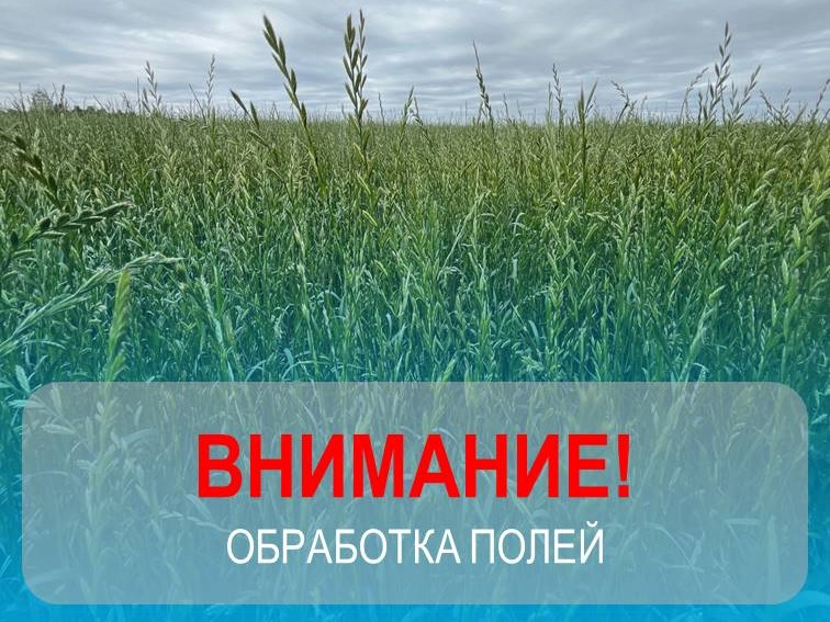 Обработка полей.